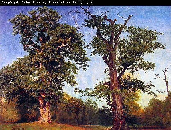 Albert Bierstadt Pioneers_of_the_Woods